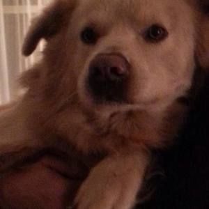 Meet your Posher, Dana